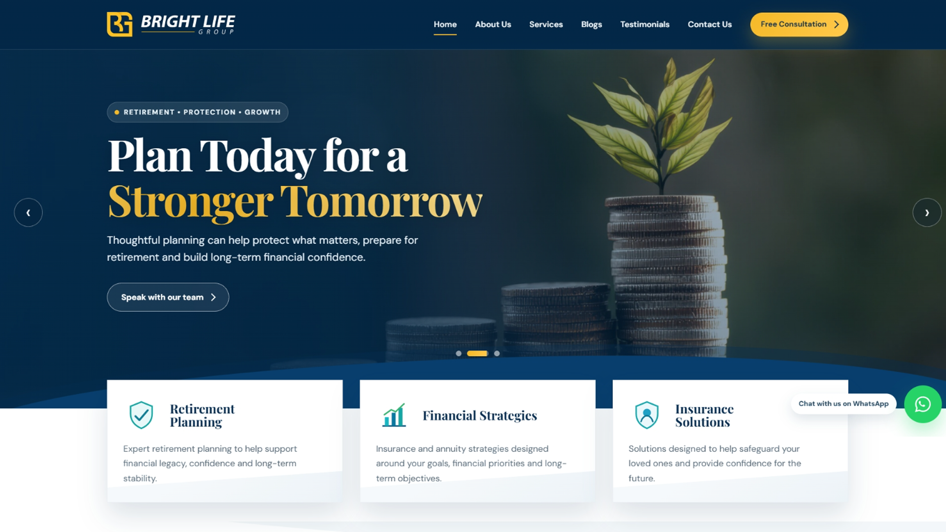 Bright Life Group LLC website showcase